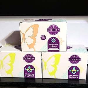 Scentsy vanilla bean buttercream Fragrance Flowers